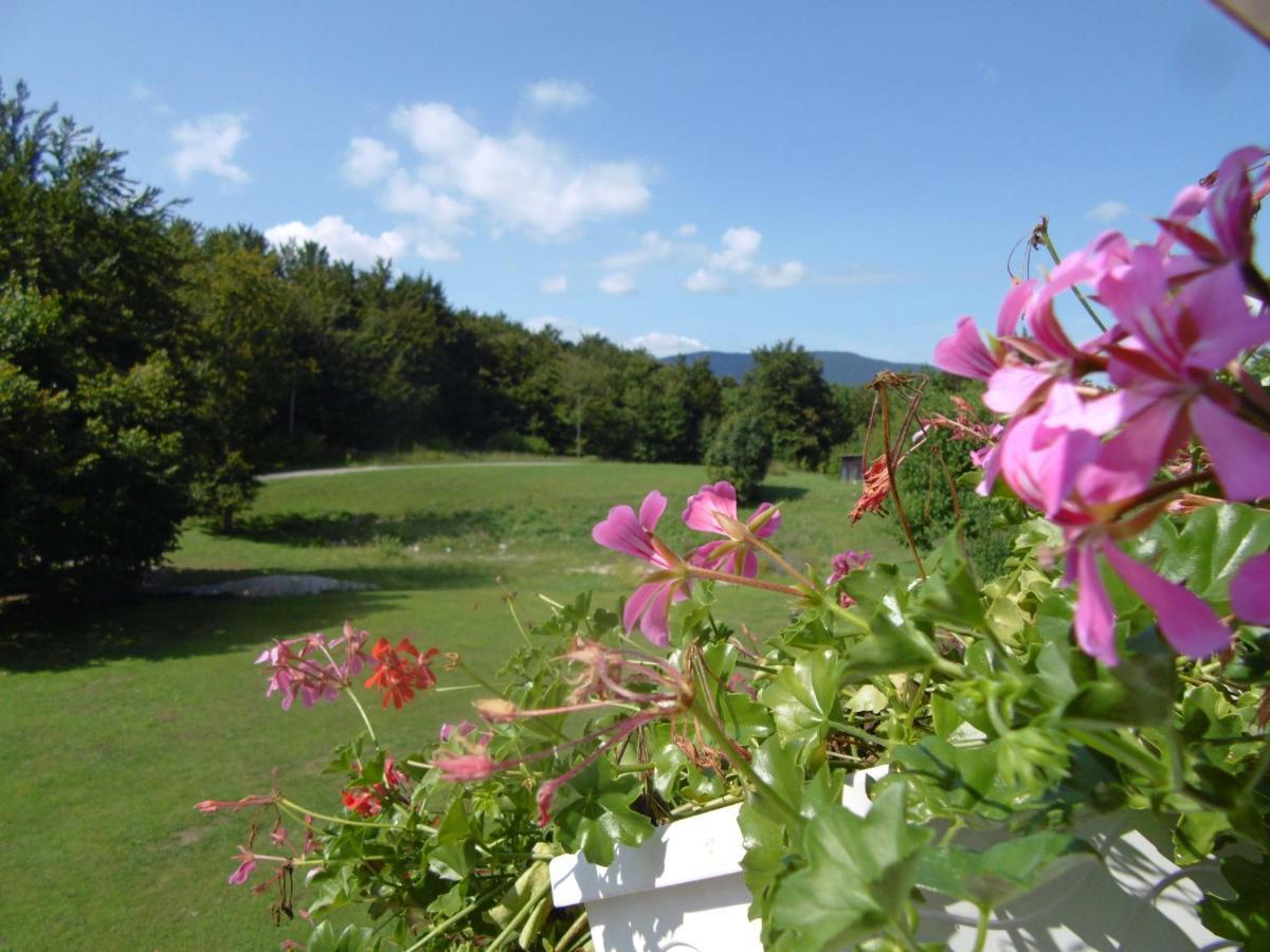 House Biba & Leona Bed and Breakfast Rastovača Εξωτερικό φωτογραφία